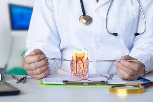 Best After-Hours Dental Trauma Care in Wood Dale, IL